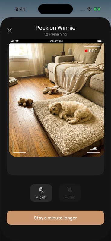 Stilla peek screen showing a live view of a Cavapoo sleeping on a dog bed, with 52 seconds remaining and controls for mic and speaker